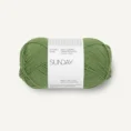 sunday_8753 vineyard green _1