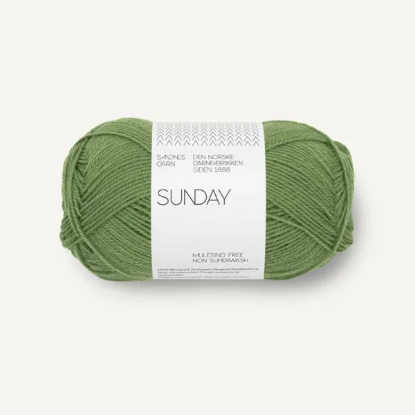 sunday_8753 vineyard green _1