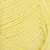 9004-lemon