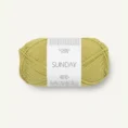 sunday_9825 sunny lime_1