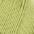 481-lime