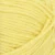 9004-lemon