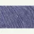 201-iris