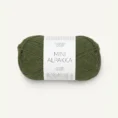 mini_alpaka_9573 moss _1