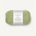 petiteknit_sunday_9533 green tea_1