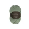poor_wool_199 sage_1