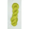 terra_2012 Citrus