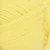 9004-lemon