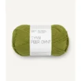 tynn_peer_gynt_9564 matcha_1