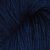1017-delhi-blue
