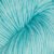 1010-mint