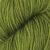1058-rain-forest