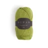 4ply_449 pickle_1
