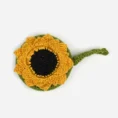 Sonnenblume
