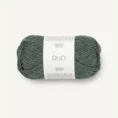 duo_7570 mork skoggronn_1