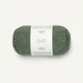 duo_8072 forest _1