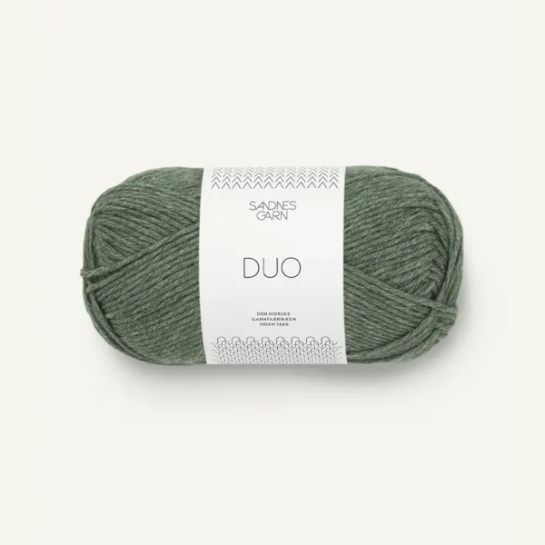 duo_8072 forest _1