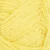 9004-lemon