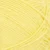 9004-lemon