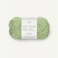 mandarin_8734 gronn_1