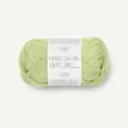 mandarin_9523 lime punch_1