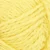 9004-lemon