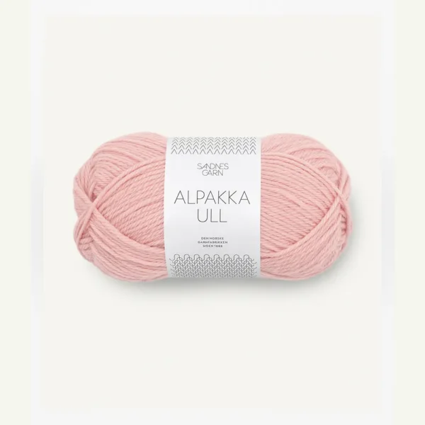 alpakka_4213 blossom_1