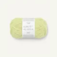 borstet_alpaka_9523 lime punch_1