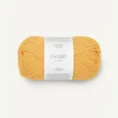 smart_2206 yellow_1