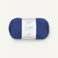 smart_5846 blue_1