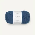 smart_6355 blue_1