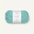 smart_7033 dusty turquoise_1