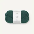 smart_7364 Dyp sjogronn _1