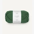 smart_8264 green_1