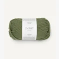 smart_9553 olive_1