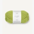 smart_9825 Sunny lime_1