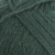 0969-forest-green