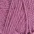 7236-wild-rose
