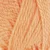 7242-crazy-cantaloupe