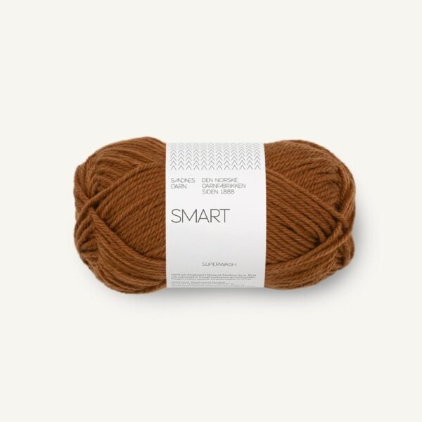smart_2573 monks robe_1