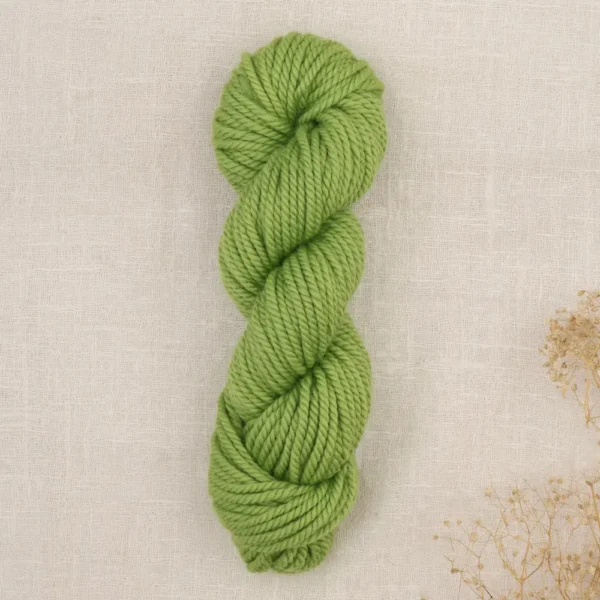 221-0020536-000000_1