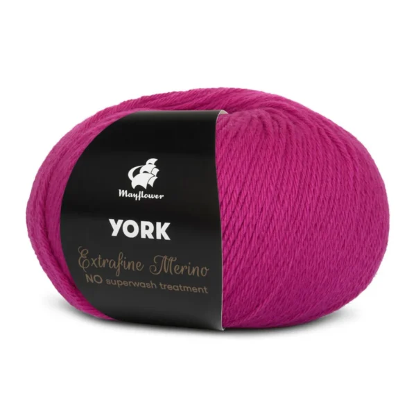 york-mayflower-111311