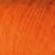 golden-poppy-683