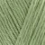 1102-cool-aloe