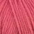 1112-rosehip