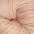 6009-champagne