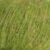 5-lawn