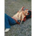 Дизайн без названия (58)