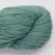 1719-fern