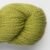 1804-moss